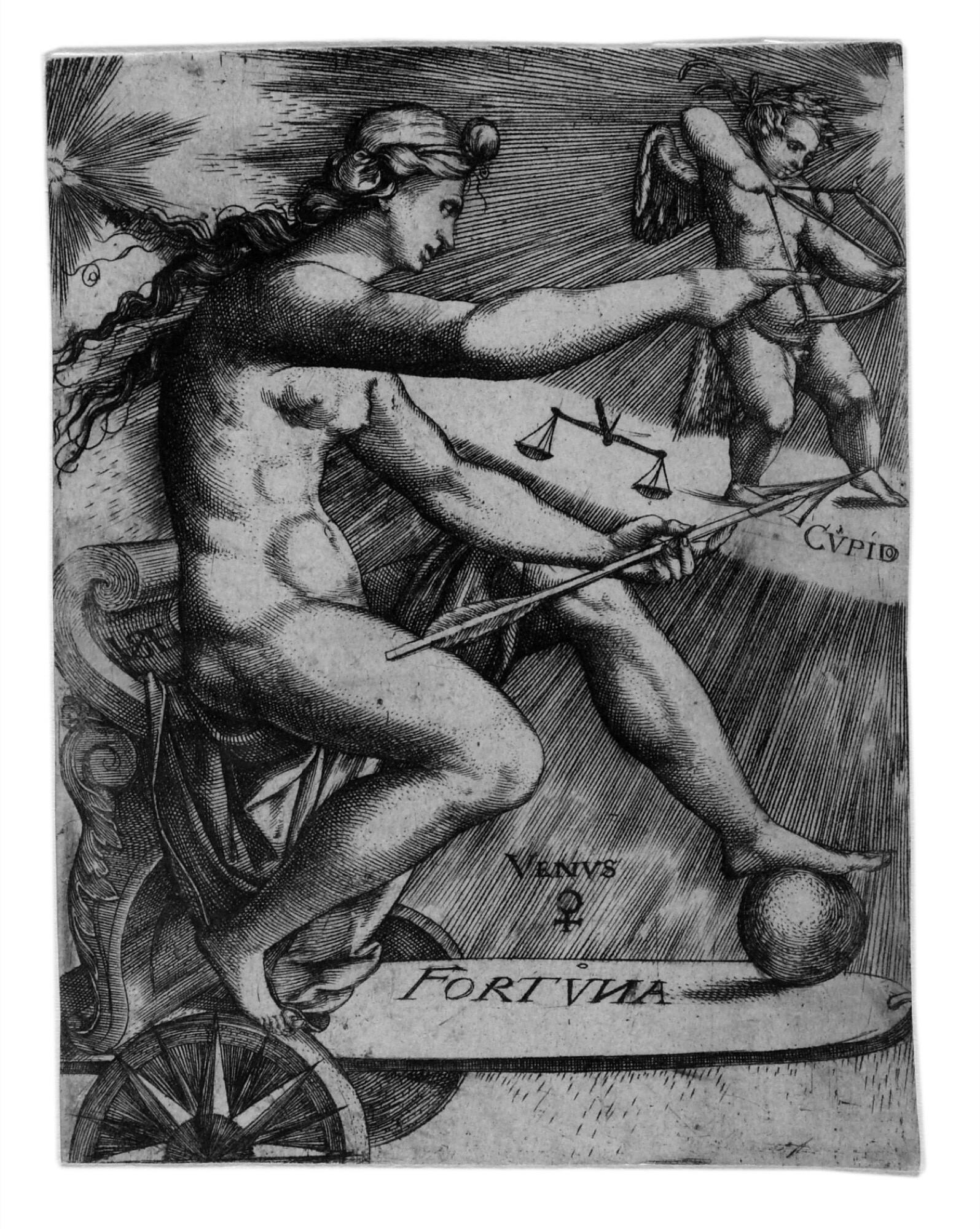 Johann Ladenspelder - Venus.