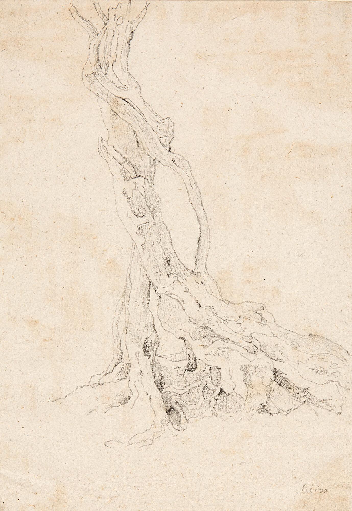 Johann Martin von Rohden - 2 Bll.: „Oliva“ – „Fico“.