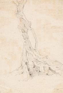 Johann Martin von Rohden - 2 Bll.: „Oliva“ – „Fico“.