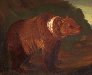 Johann Melchior Roos - A brown bear in a landscape