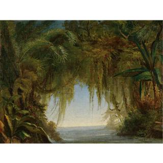 Johann Moritz Rugendas - Tropical Landscape