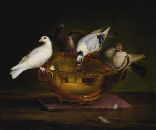 Johann Wenzel Peter - The Four Doves, After The Mosaïc From The Villa Hadriana, Tivoli