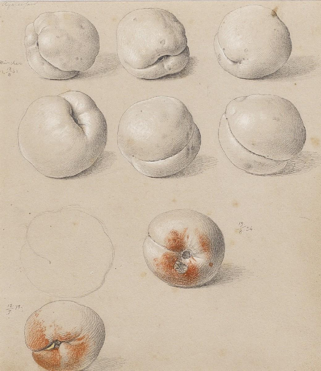 Johann Wilhelm Preyer - Pfirsiche