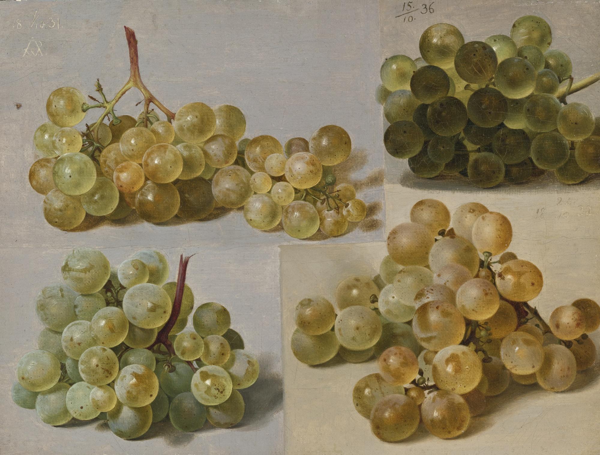 Johann Wilhelm Preyer - Still Life Of Grapes