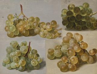 Johann Wilhelm Preyer - Still Life Of Grapes