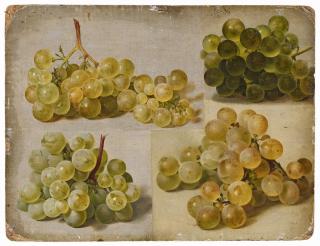 Johann Wilhelm Preyer - Vier weiße Trauben (eine im Gegenlicht)