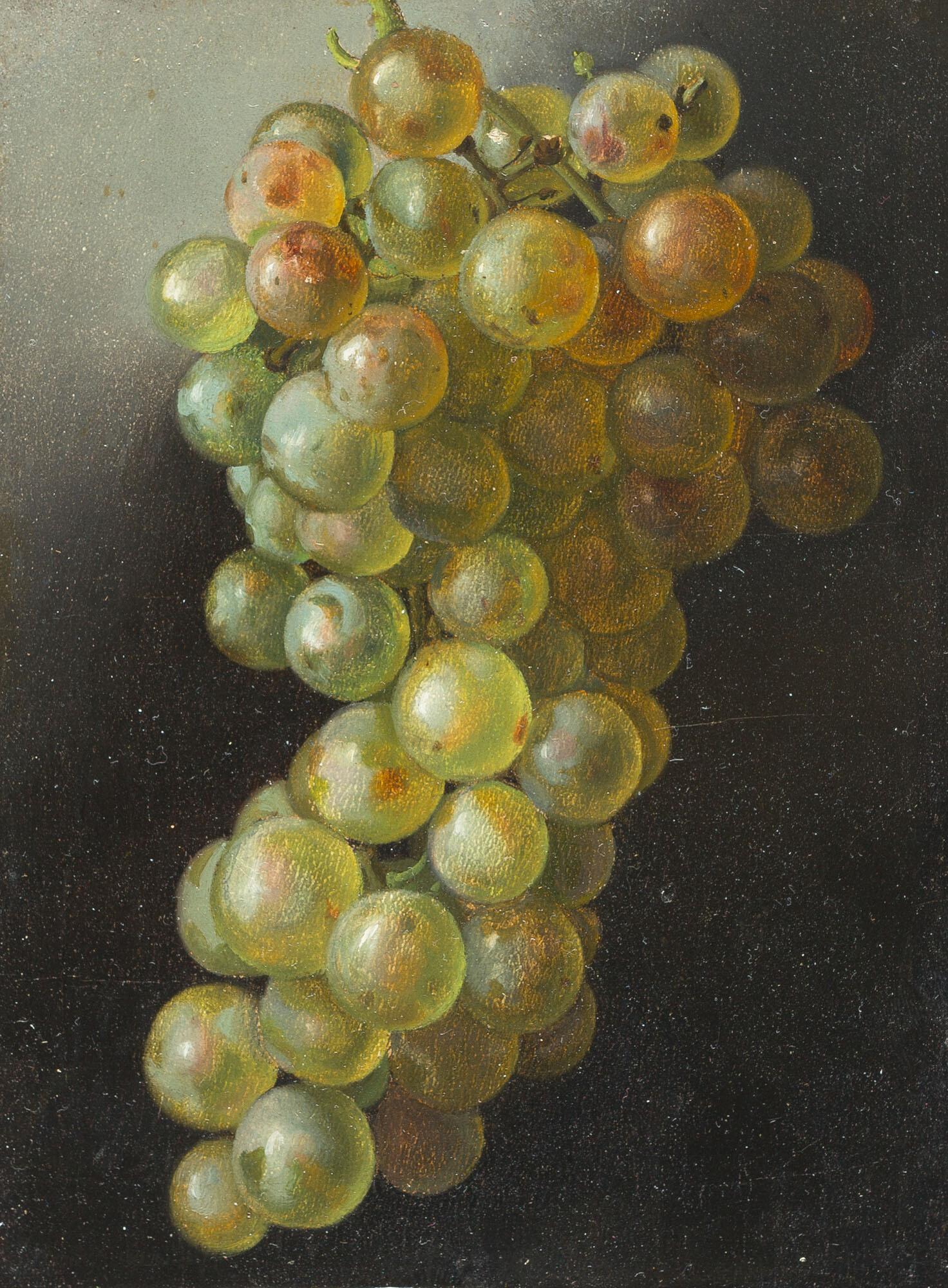 Johann Wilhelm Preyer - Weintrauben.