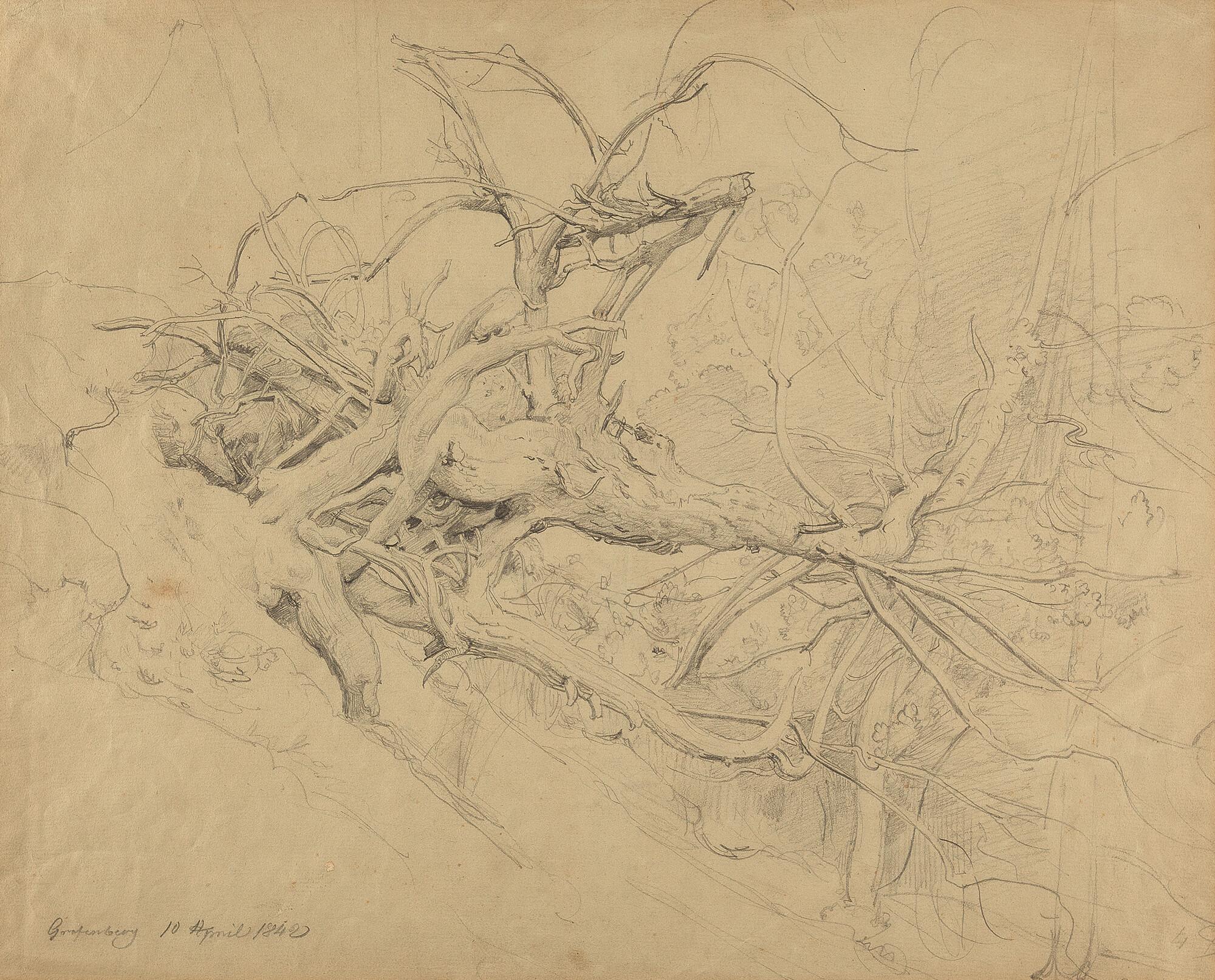 Johann Wilhelm Schirmer - Studie eines entwurzelten Baums.