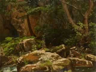 Johann Wilhelm Schirmer - Waldlandschaft mit Felsen