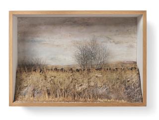 Johanna Karlsson - \