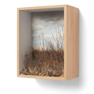 Johanna Karlsson - \