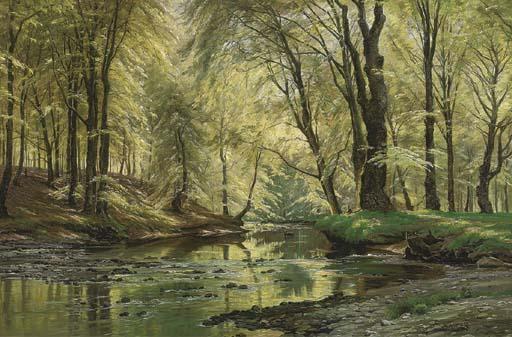 Johannes Boesen - A woodland stream