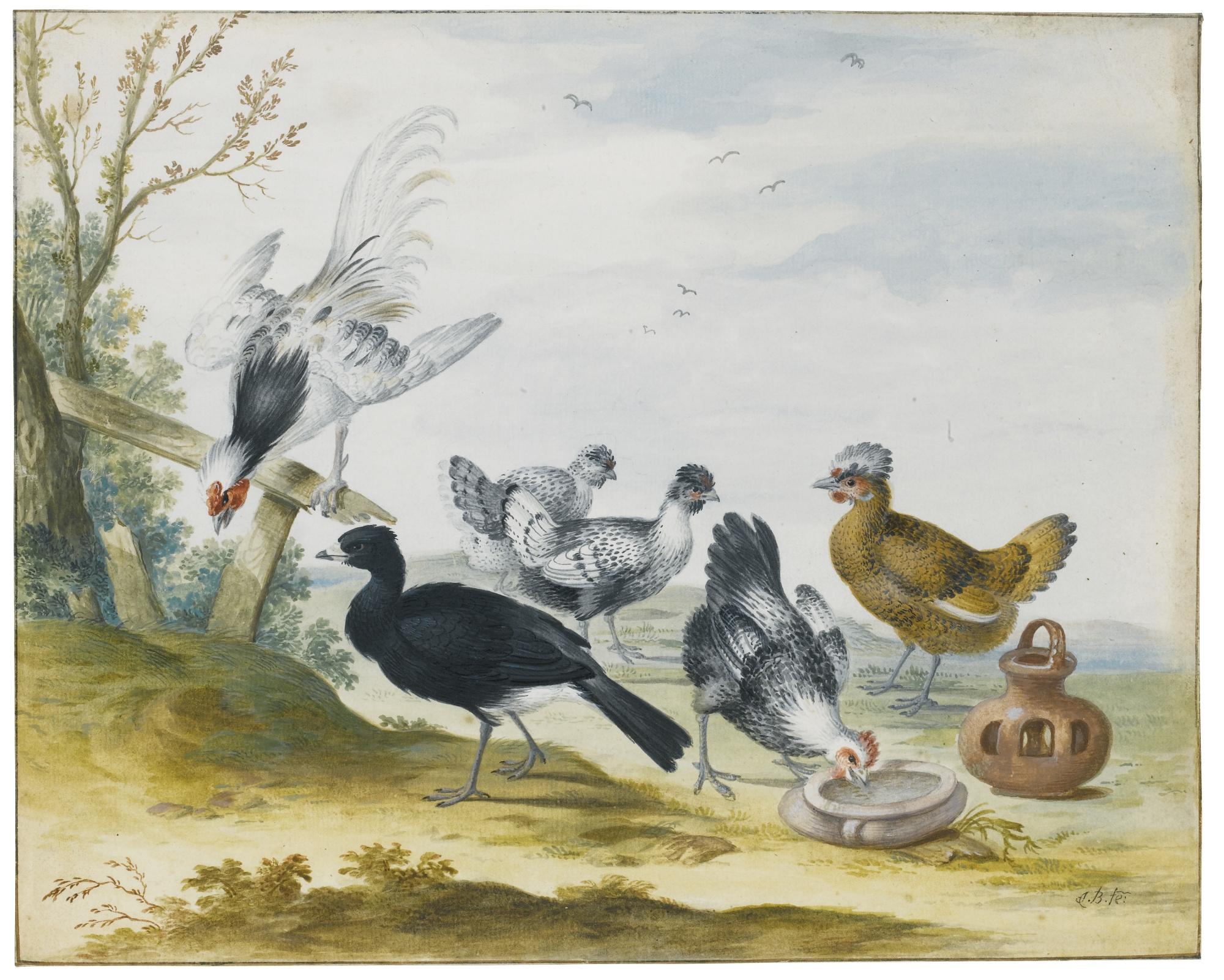 Johannes Bronckhorst - Poultry