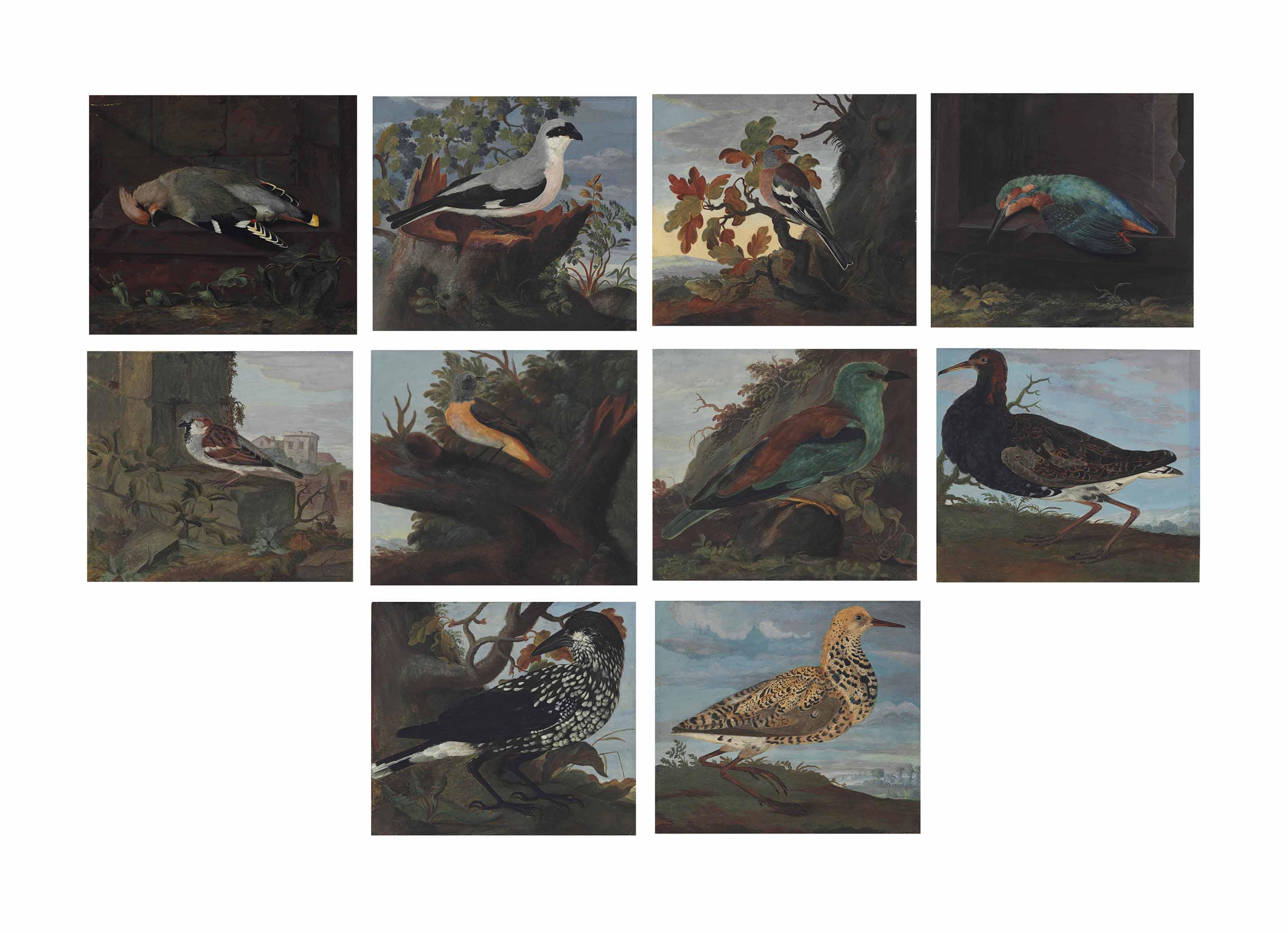 Johannes Bronkhorst - Studies of birds in landscape settings: A waxwing ( Bombycilla ); A common chaffinch ( Fringilla coelebs ); A great grey shrike ( Lanius excubitor ); A common kingfisher ( Alcedo atthis ); A house sparrow ( Passer domesticus ); A