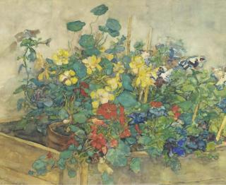 Johannes Evert Akkeringa - Flowering potplants