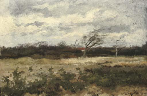 Johannes Marius Ten Kate - A Windy Day In Autumn