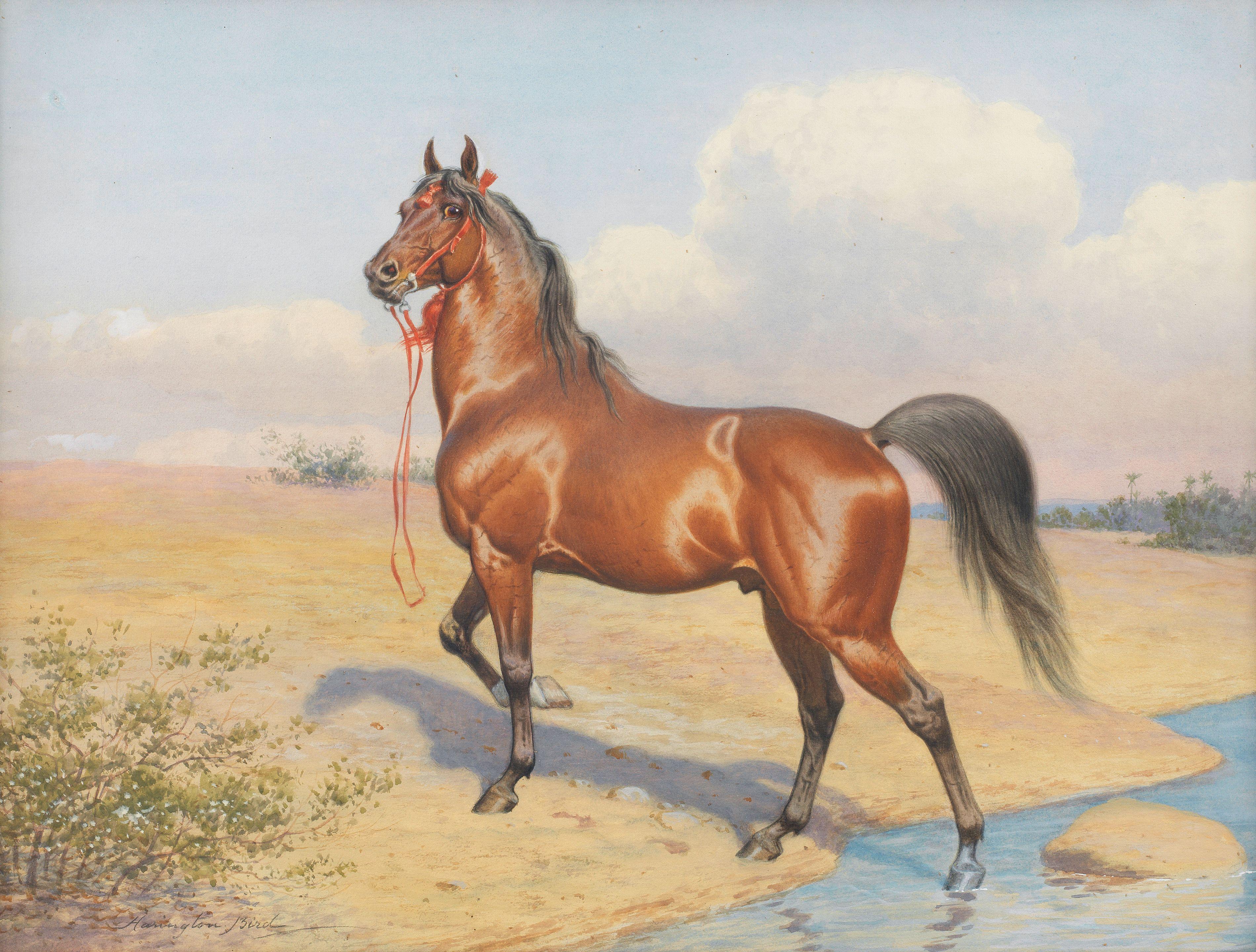 John Alexander Harington Bird - Arab horse by an oasis