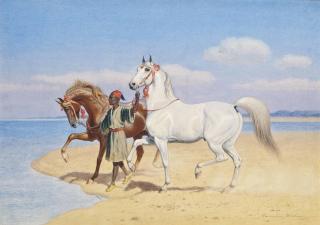 John Alexander Harington Bird - Chestnut and grey Arabian stallions with a groom