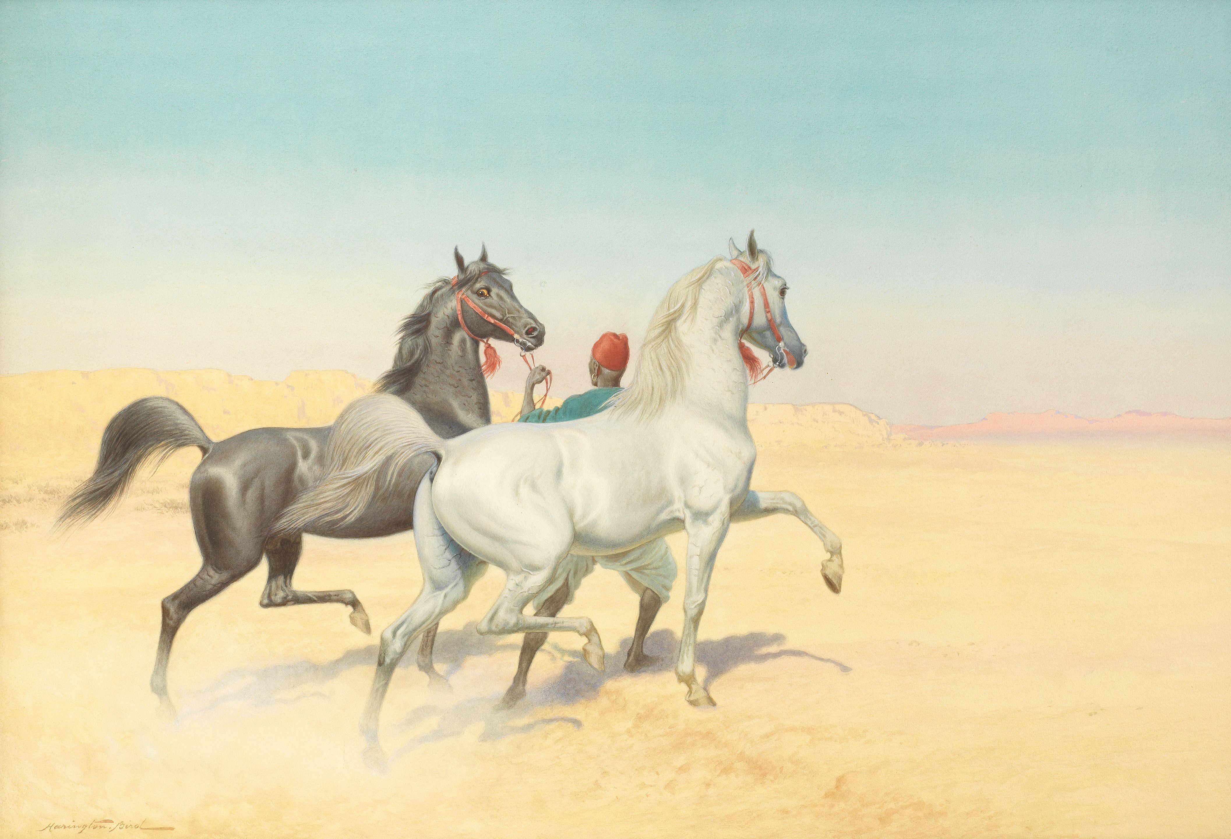 John Alexander Harrington Bird - Arabian horses in the desert; Arab stallions at sunset. (2)