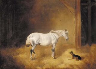 John Alfred Wheeler - A grey pony with a dog in a stable; and A donkey and a goat in a stable
