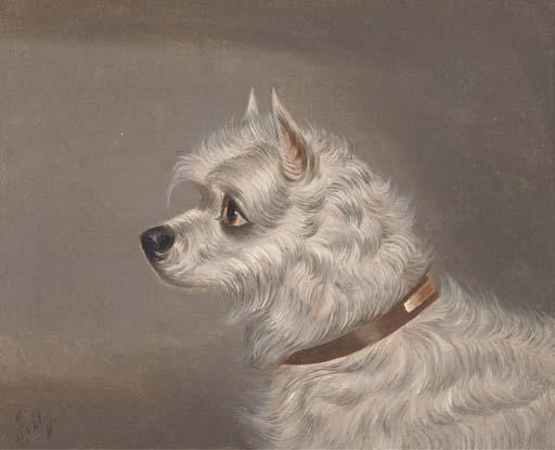 John Alfred Wheeler - A Skye Terrier