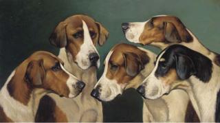 John Alfred Wheeler - Five hounds
