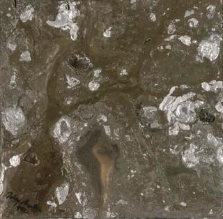 John Armleder - Untitled