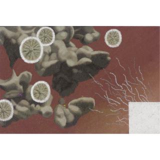 John Armstrong, A.R.A. - Mould (Penicillin)