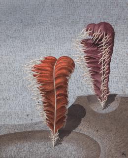 John Armstrong - On the Promenade