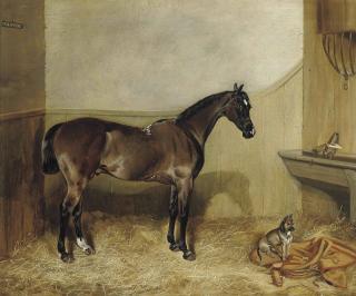 John Arnold Alfred Wheeler - A Bay Hunter In A Stable With A Terrier