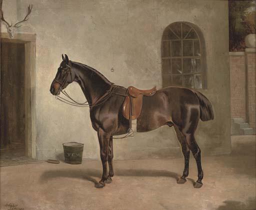 John Arnold Alfred Wheeler - A saddled chestnut hunter outside the stables