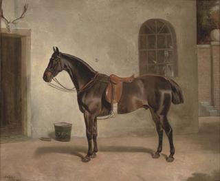 John Arnold Alfred Wheeler - A saddled chestnut hunter outside the stables