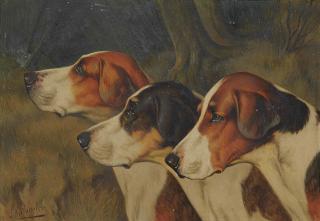 John Arnold Alfred Wheeler - Foxhounds