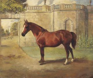 John Arnold Alfred Wheeler - Miss Mary, a chestnut hunter at Badminton