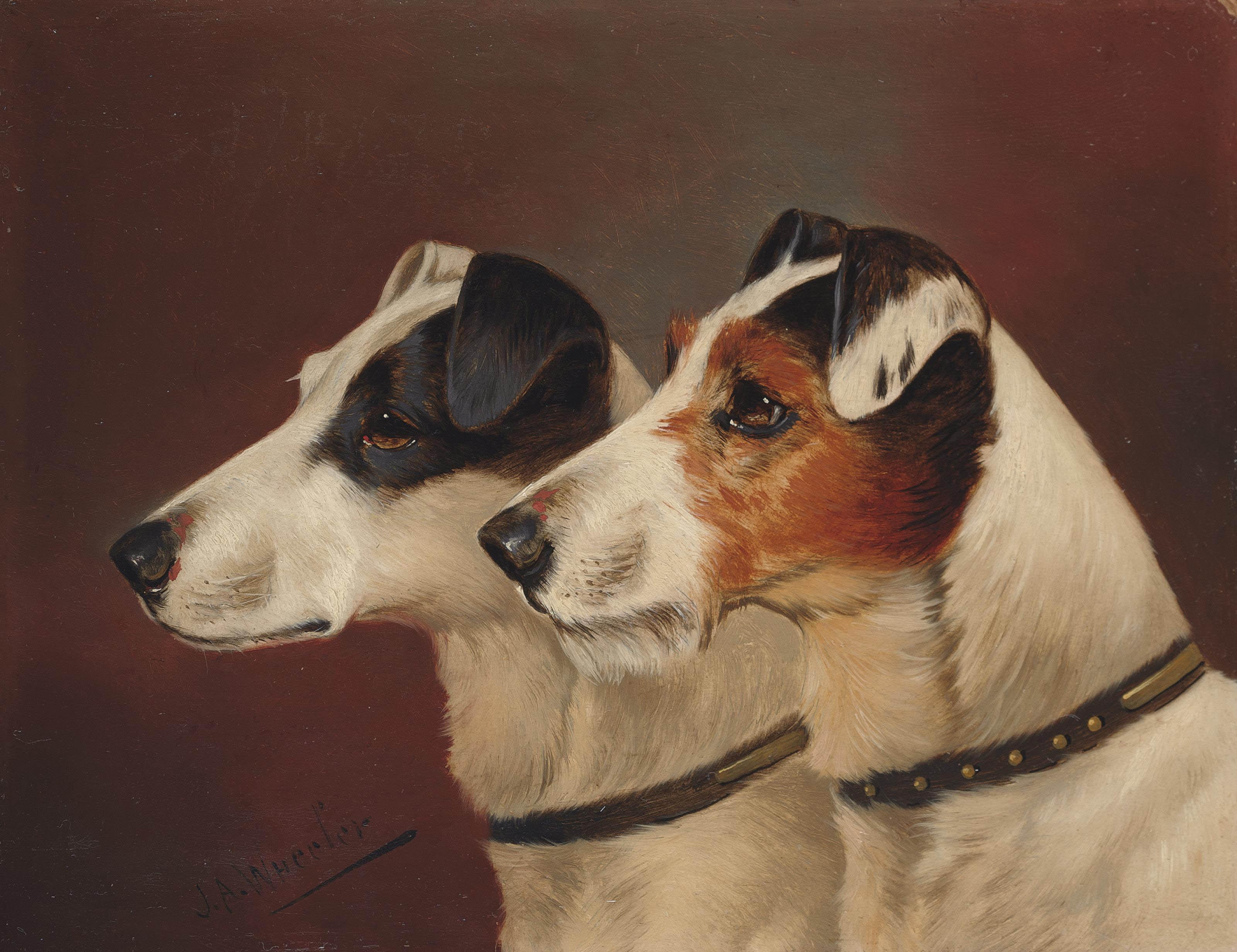 John Arnold Alfred Wheeler - Terriers