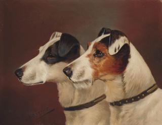 John Arnold Alfred Wheeler - Terriers