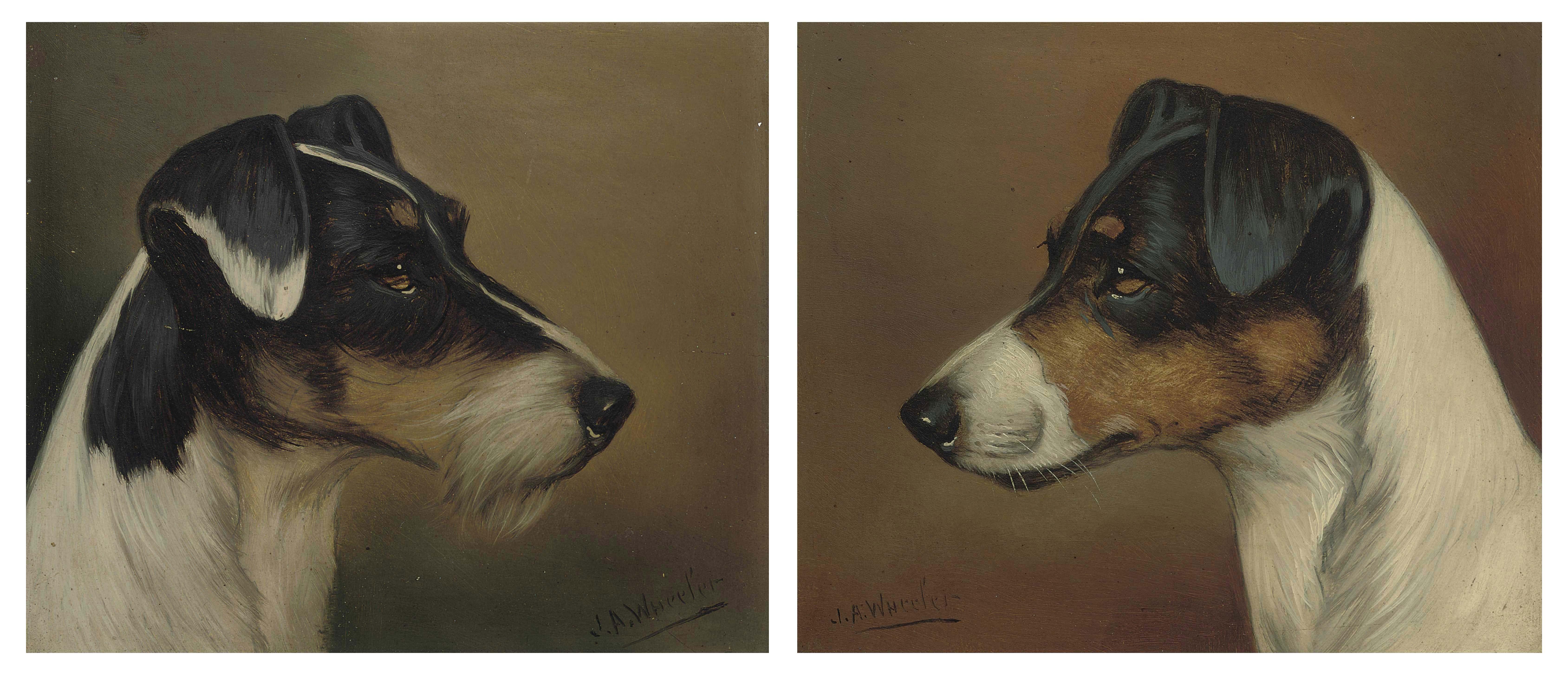 John Arnold Alfred Wheeler - Terriers