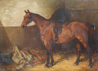 John Atkinson - Sudboro, a saddled and bridled bay hunter standing in a stall