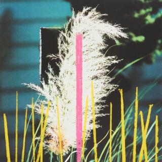 John Baldessari - 2623 Third Street, Santa Monica (4 works)