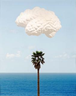 John Baldessari - Brain Cloud (With Seascape and Palm Tree).