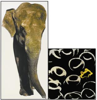 John Baldessari - Elephant