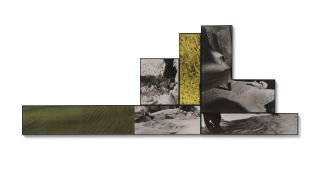 John Baldessari - Oasis