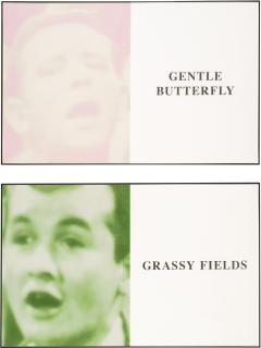 John Baldessari - Prima Facie (Fifth State): Gentle Butterfly/Grassy Fields
