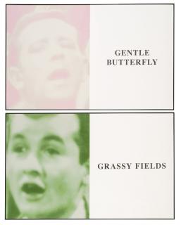 John Baldessari - Prima Facie (Fifth State): Gentle Butterfly/Grassy Fields