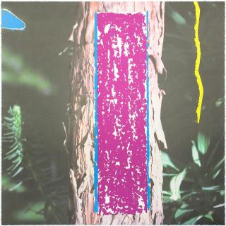 John Baldessari - Tree, from 2623 Third Street, Santa Monica