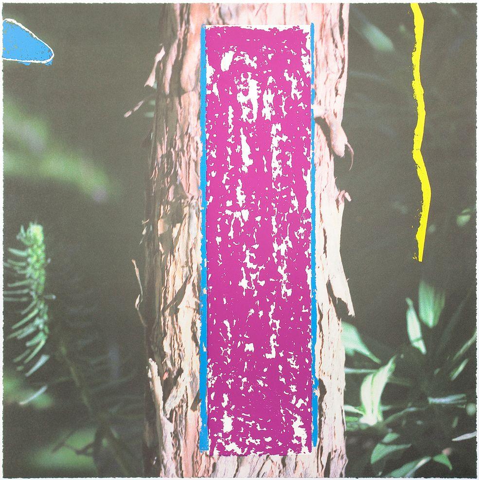 John Baldessari - Tree, from 2623 Third Street, Santa Monica