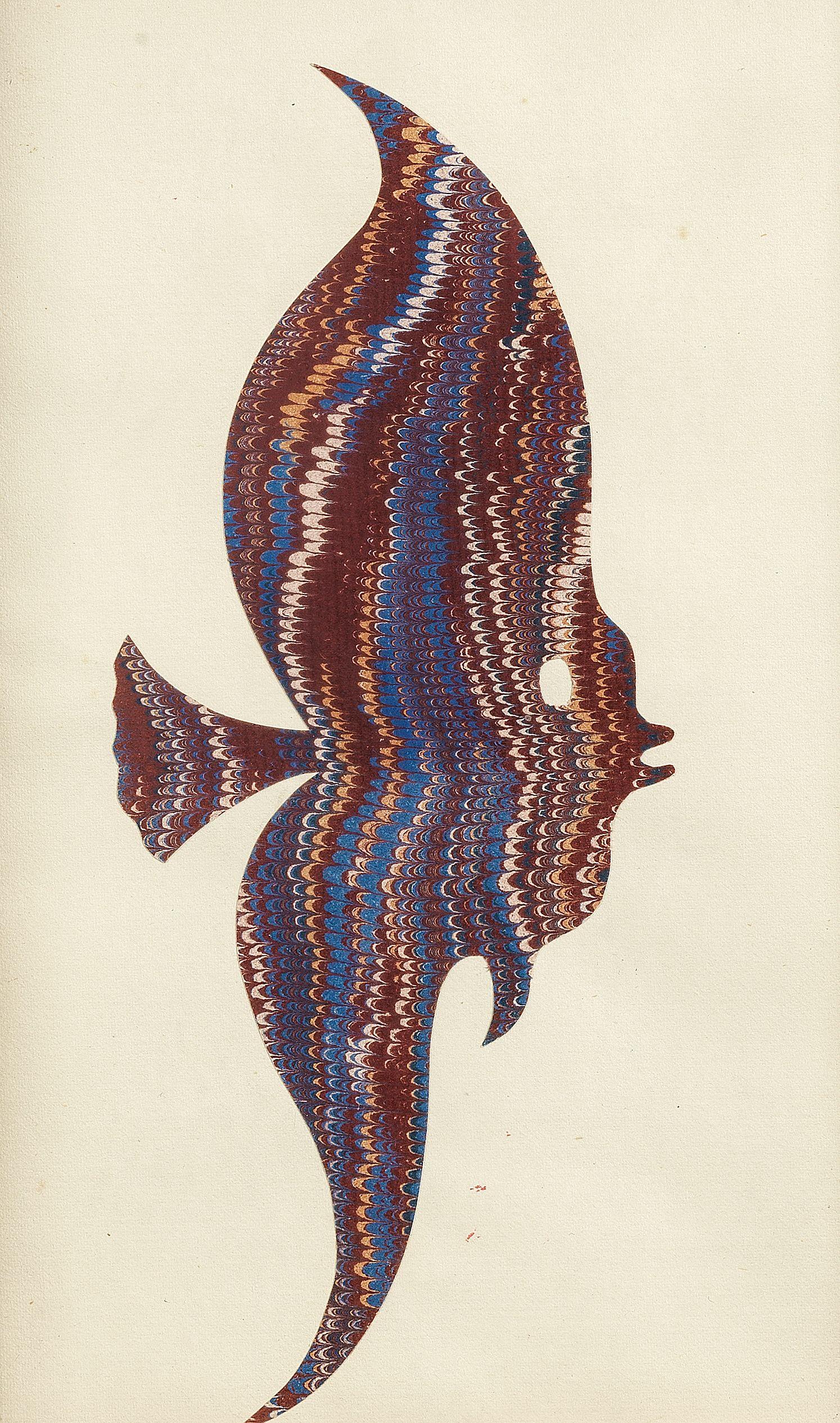 John Banting - Fish portrait