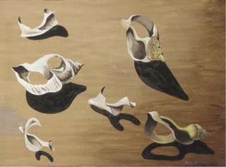 John Banting - Shells