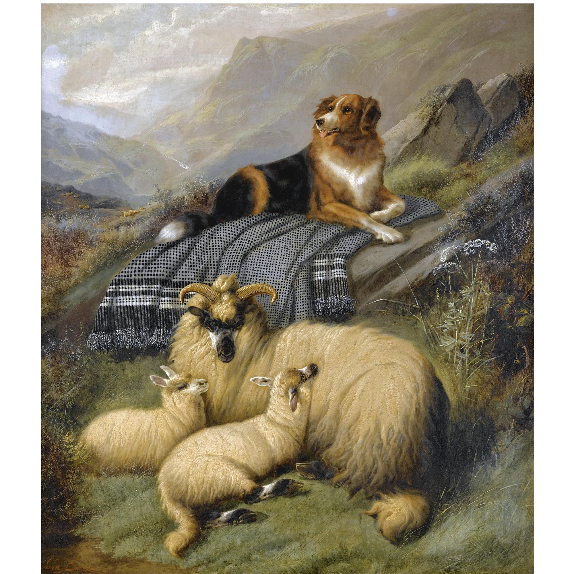 John Barker - Guarding The Flock