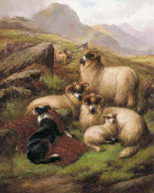 John Barker - Guarding the flock